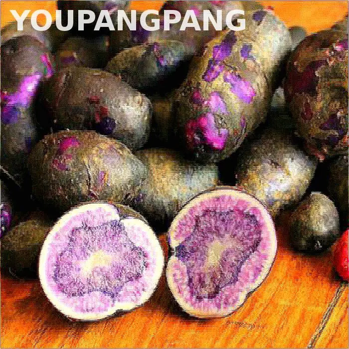 

200pcs Potato plants Rare High-nutrition And Purple Potatoes bonsai Fruit And Vegetable plants For Home * Farm Jardin Plant Seme