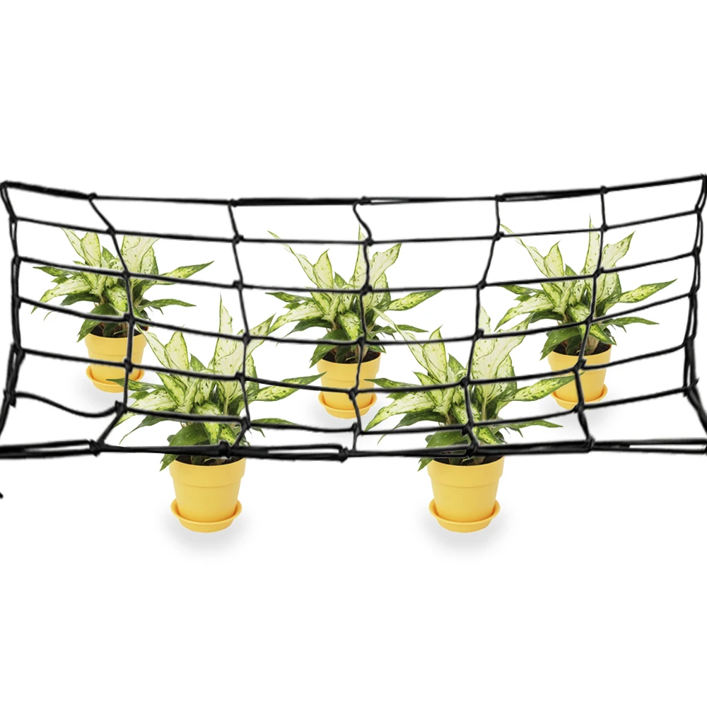 

80*80cm Elastic Rubber Garden Trellis Net Garden Netting Flower Plant Support Net Support for Vegetable Climbing Vine Plants