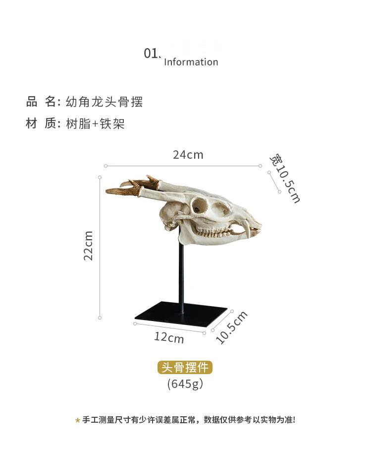 Альтернативное достаринное окаменелое молодое рогатое животное Дракон Череп Смола Украшение для учебы дизайнерский стиль дисплей