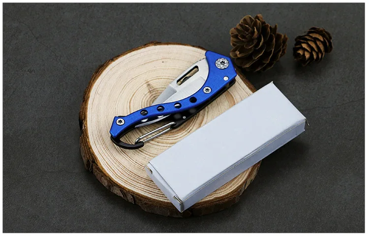 Small Folding Knife with Keychain Stainless Steel Outdoor Camping Hiking Hunting Gadget Knifes Mutifunction Fruit Knife Portable