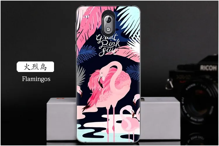  Flamingos