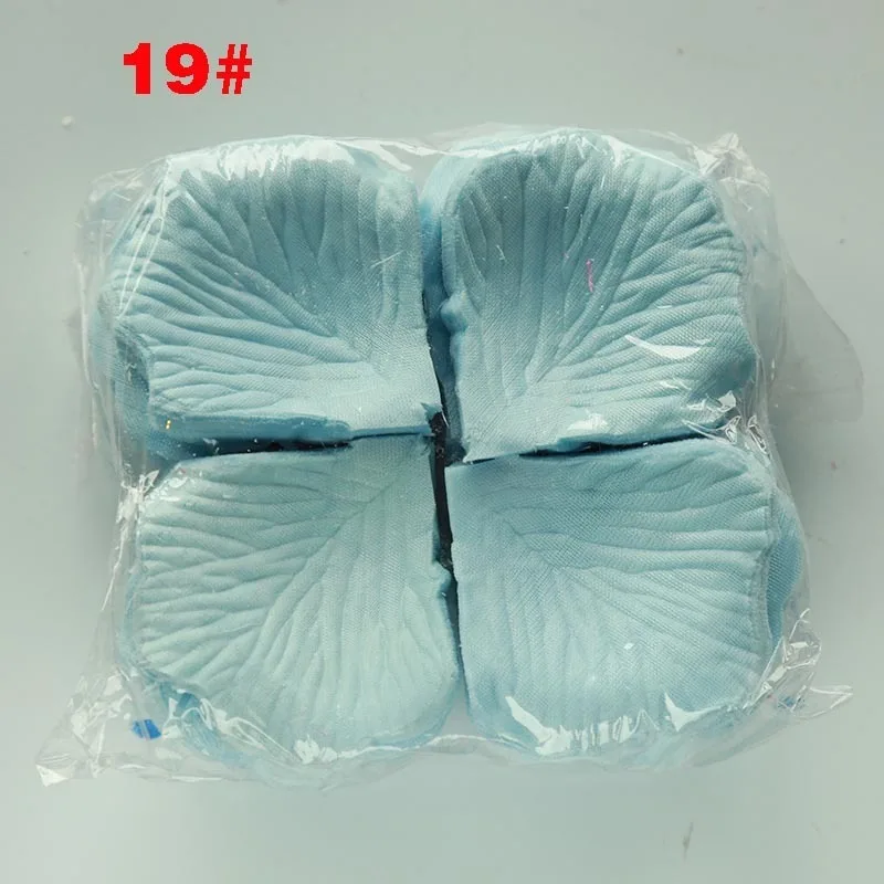 19#