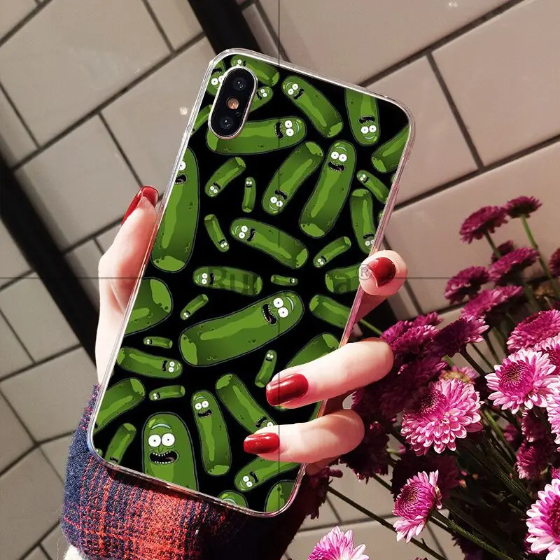 Rick and Morty pickle rick