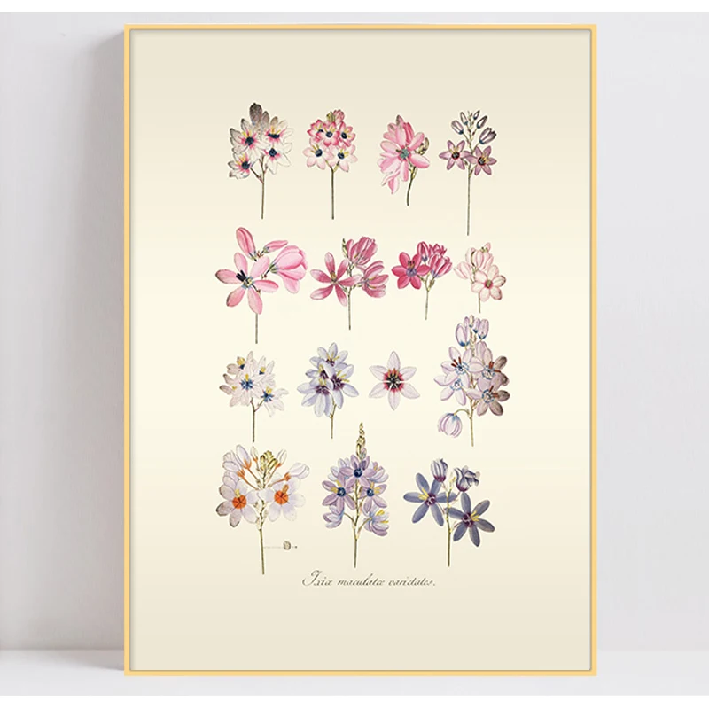 Flower vintage poster wall canvas painting nordic art picture home decoration print (3)