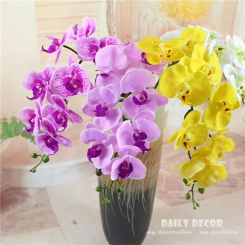 4061759953_1590719551