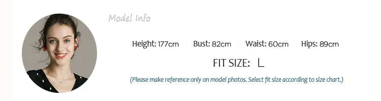 MODEL INFO A L