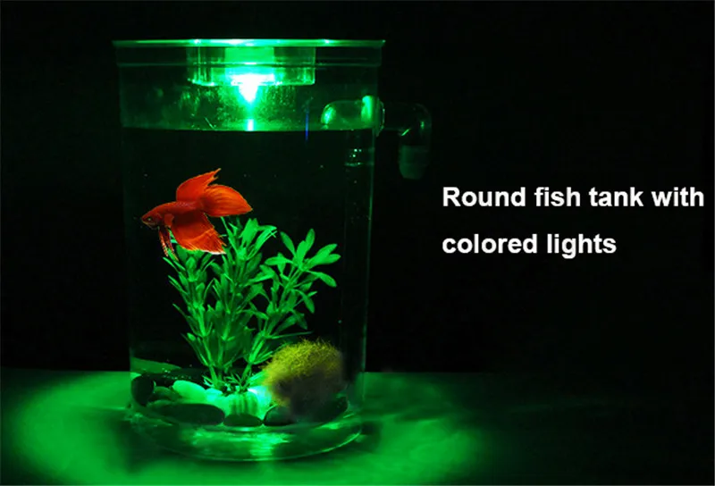 _2018-08-15T08-29-43.244Z