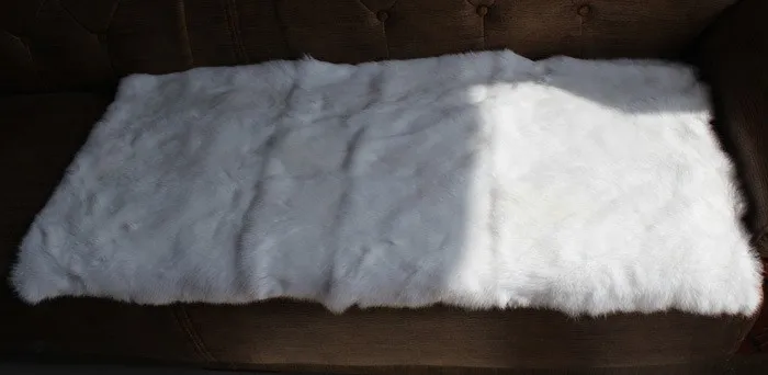 Rabbit fur plate (13)