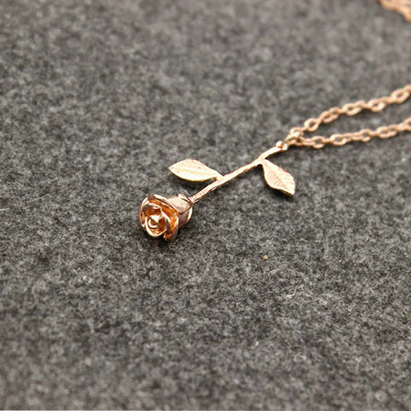 245083_no-logo_245083-1-06