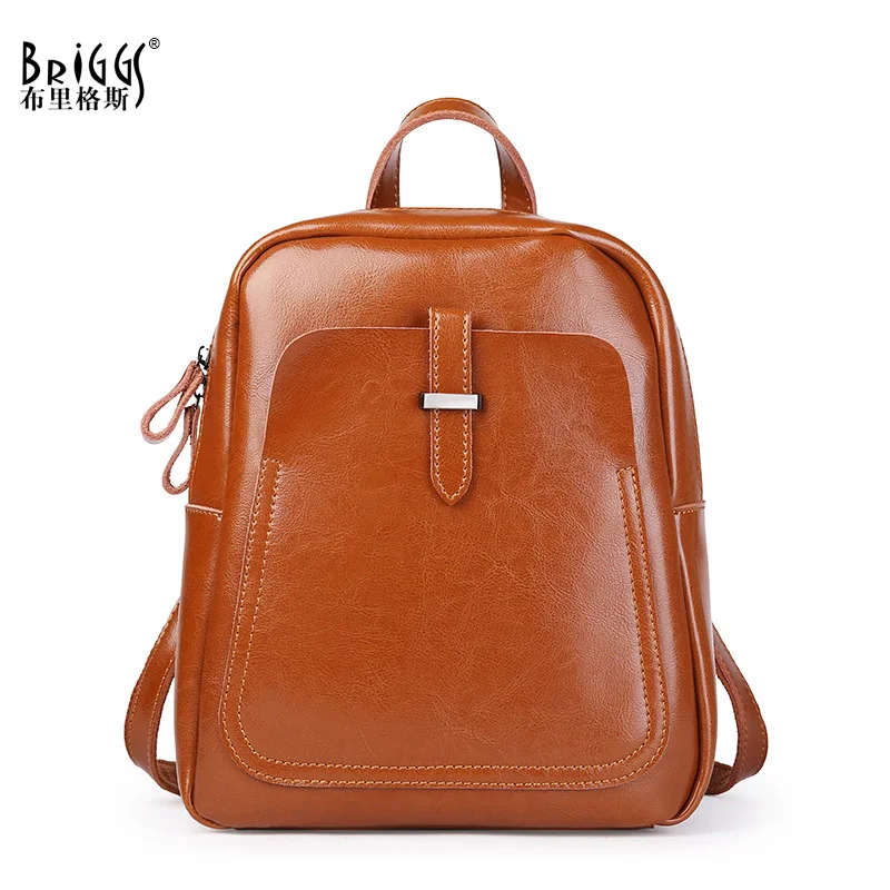 Buy BRIGGS Multi Pocket Women Backpack High Quality