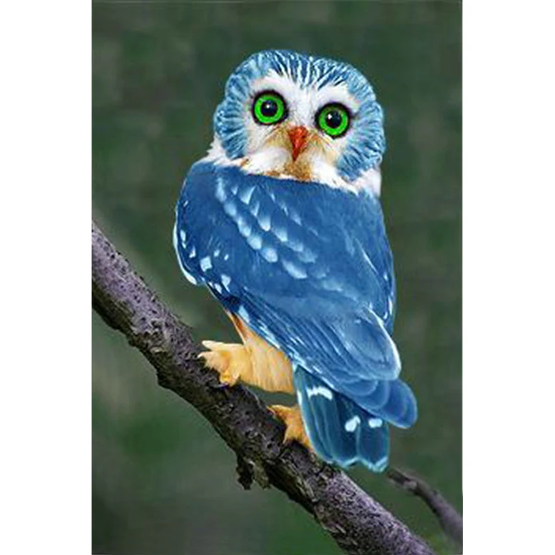 My Image 13