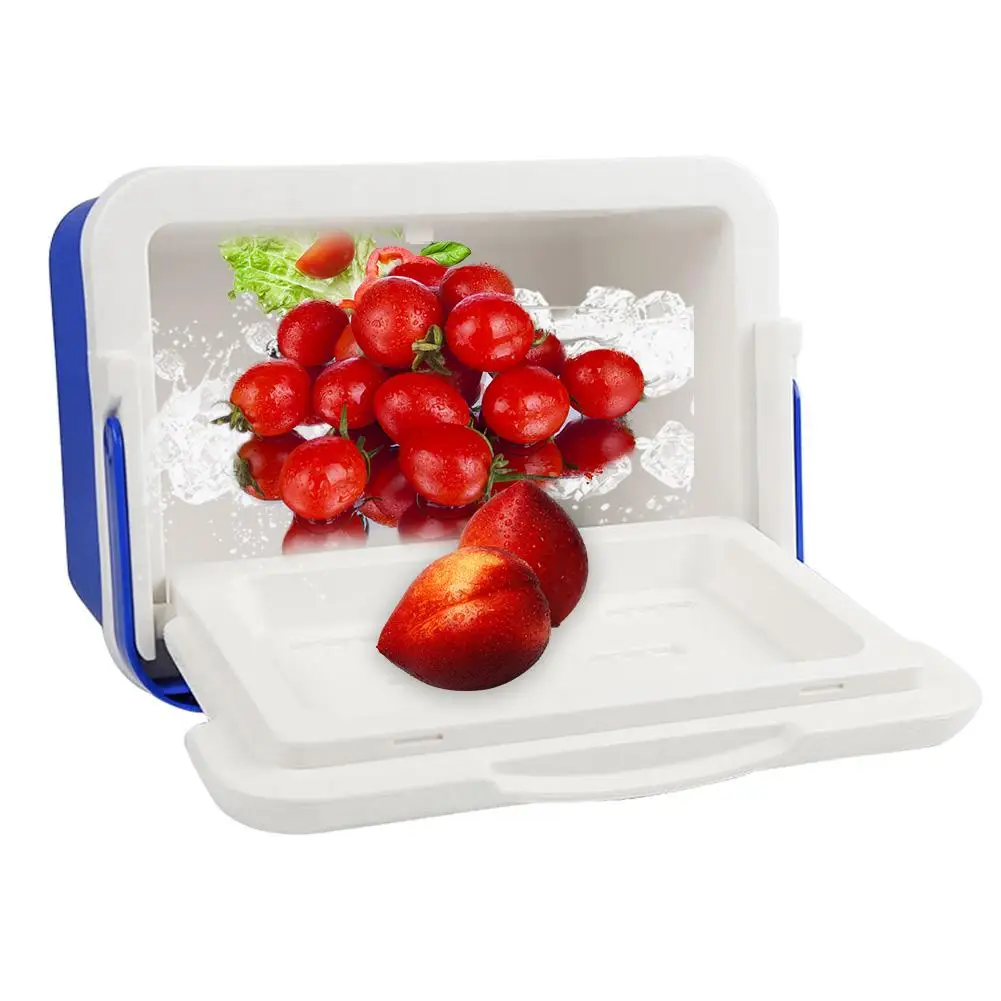 12L Car Outdoor Incubator Portable Food Storage Box Car Cold Box Fishing Box Cooler Box Refrigeration 12L Car Outdoor Incubator Portable Food Storage Box Car Cold Box Fishing Box Cooler Box Refrigeration