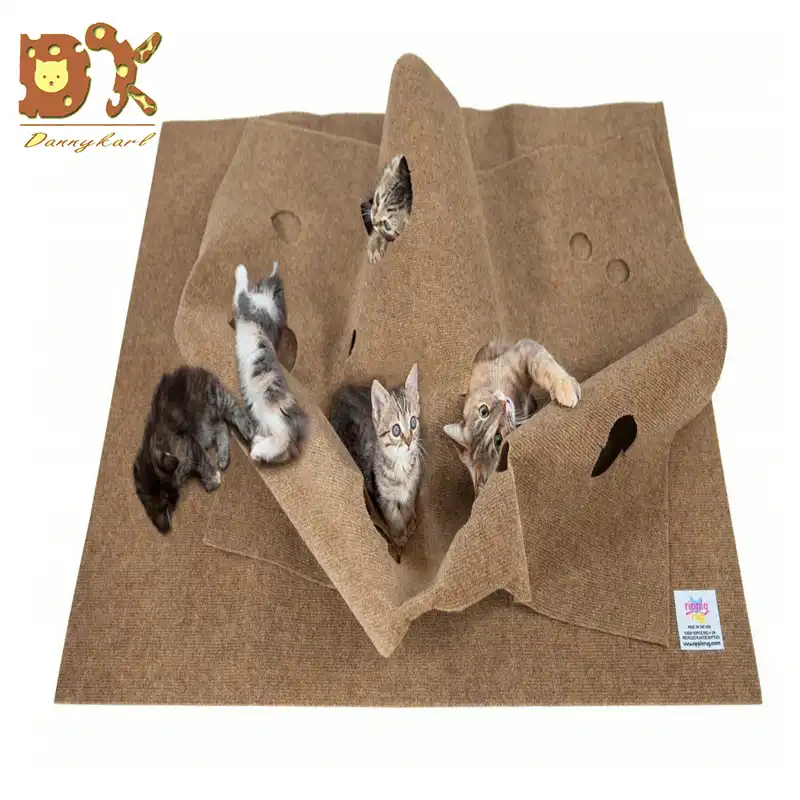 cat play mats