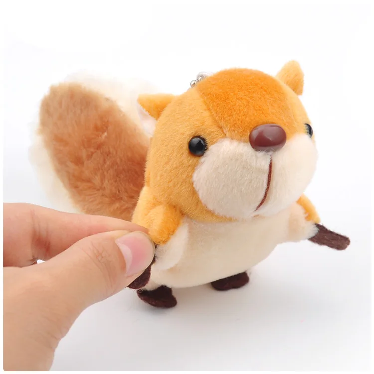 squirrel (1)