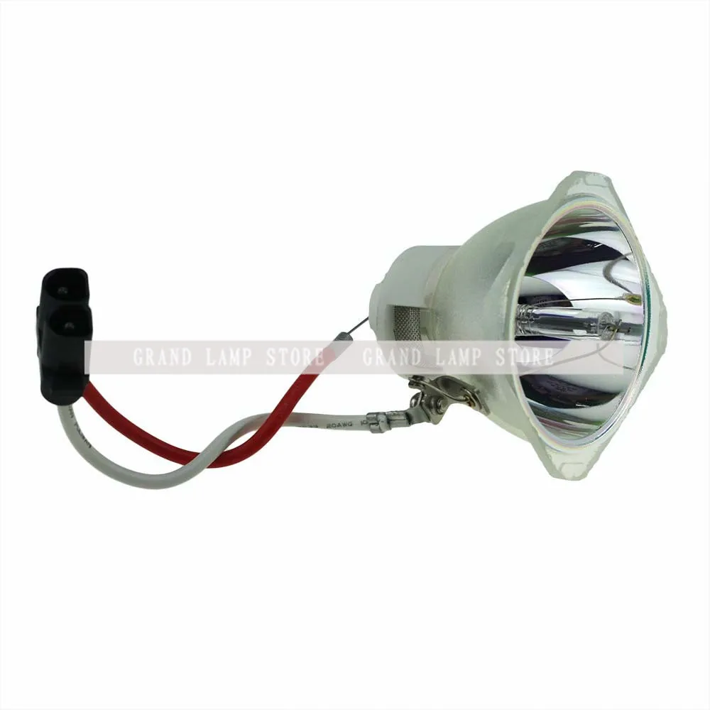SP-LAMP-019-2