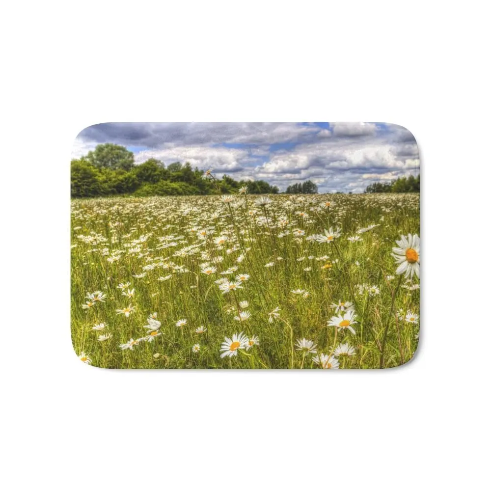 Daisy Field Bath Mat Carpets Living Room Dust Proof Door Mats Home