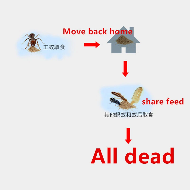 HTB1Pw4FQFXXXXa8XFXXq6xXFXXX7