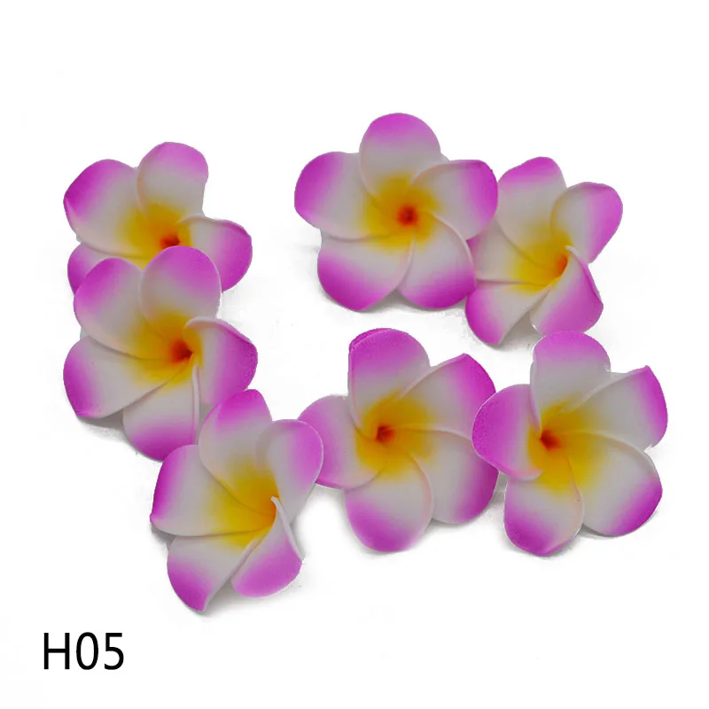 H05