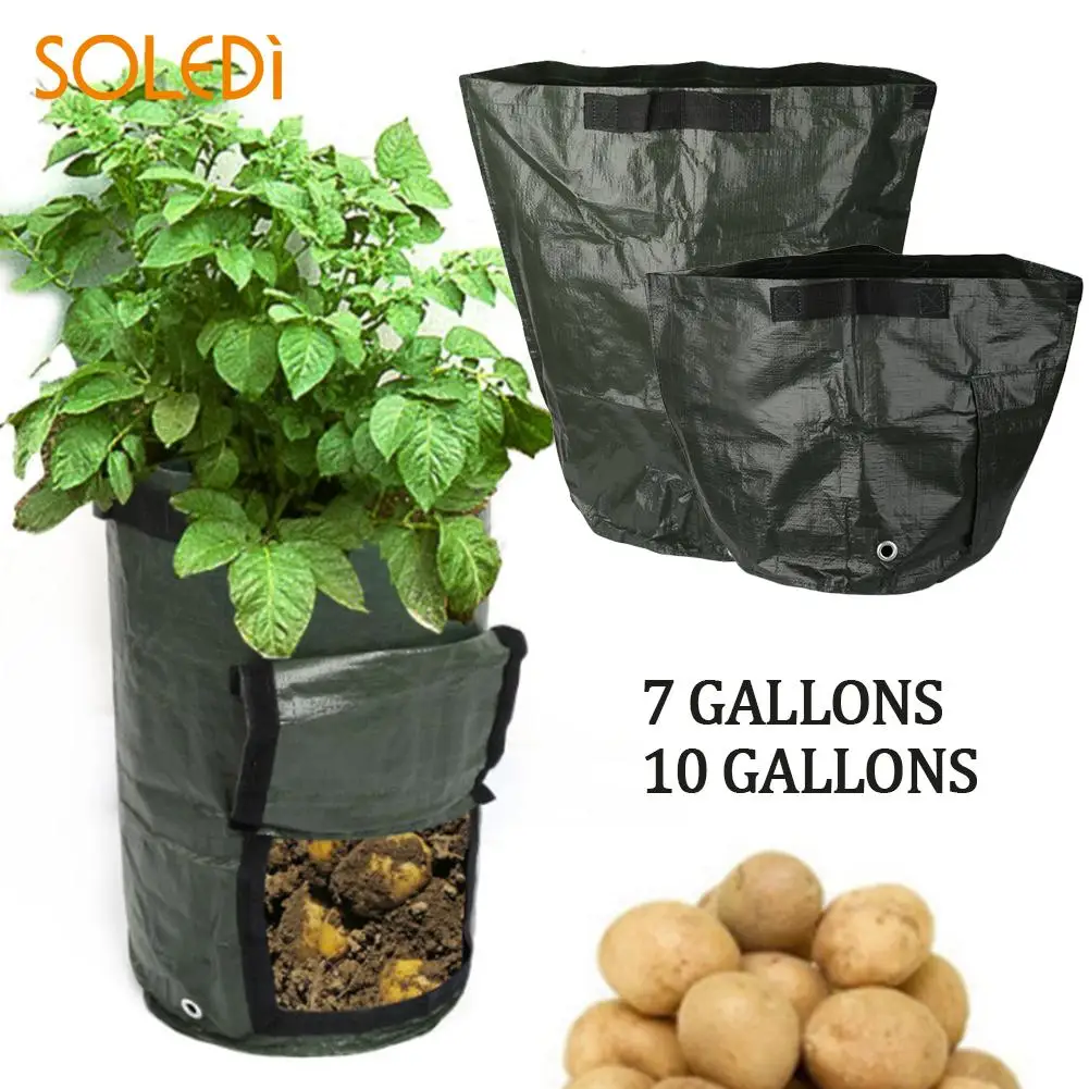 Potato Planter Bags Creative Green Vegetable 34*35*1cm Potato Plant Grow Bag Gardening Outdoor