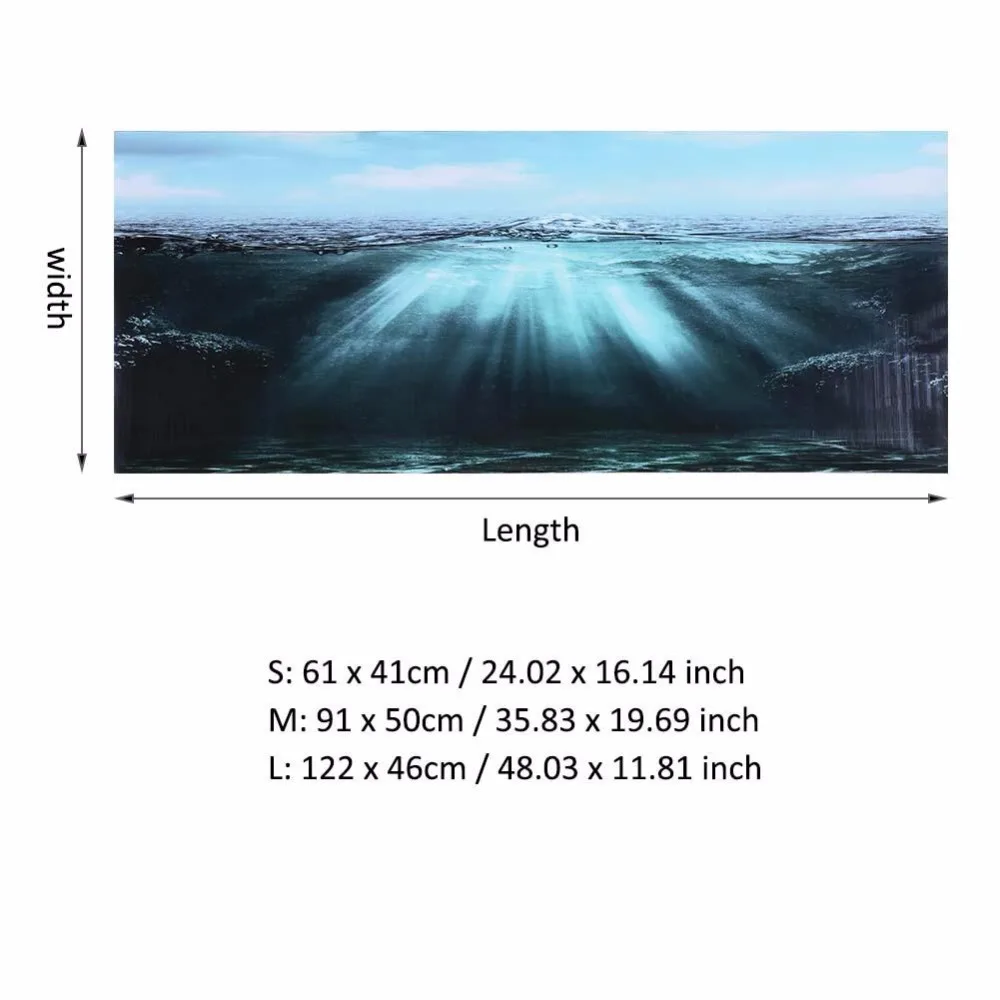 CW03939-6