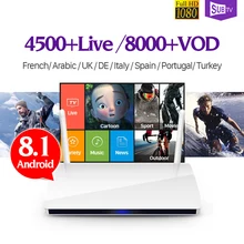 Android 8.1 France Full HD IPTV Subscription Box R6 RK3229 H.265 Decoder 4K Arabic Turkey Portugal Italia IPTV 1 Year Box TV