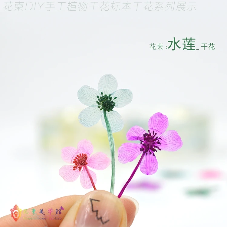 

Flower Invitation Water Lotus flower handmade dried flowers florizone flower embossed glue natural branches handmade materials