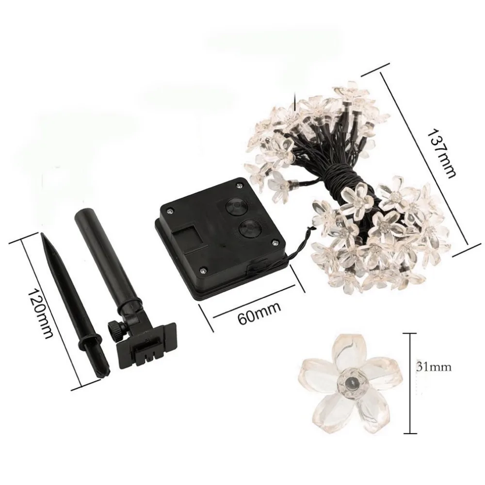 DJ259801-S-2-1