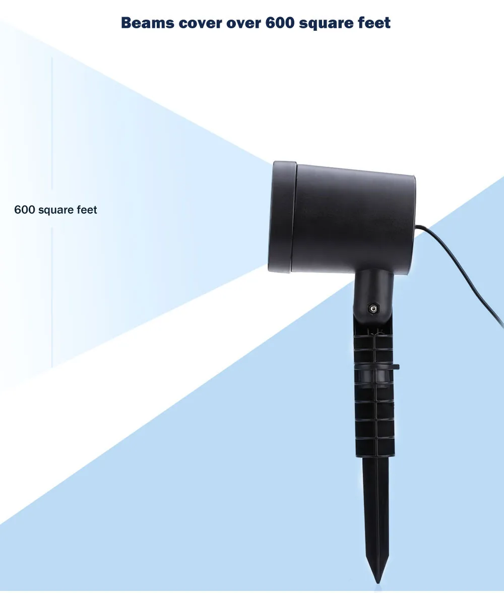 HTB1LPqpNVXXXXa5XXXXq6xXFXXXk