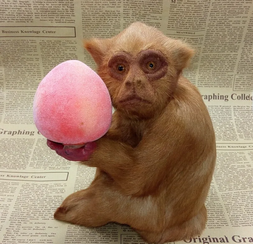 Jouet De Simulation De Singe Mignon Artisanat Realiste Poupee De Singe Tenir Un Cadeau De Peche Aliexpress