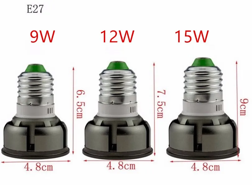 E279W12W15W