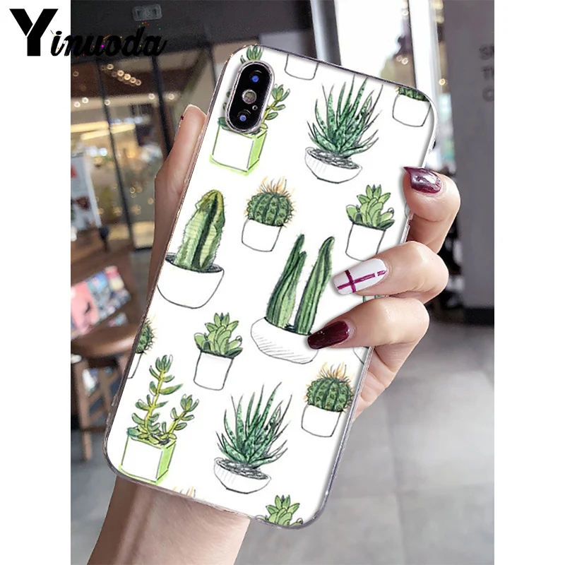 Watercolour Cactus And Succulents