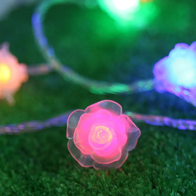 10m 100 LED rose 3