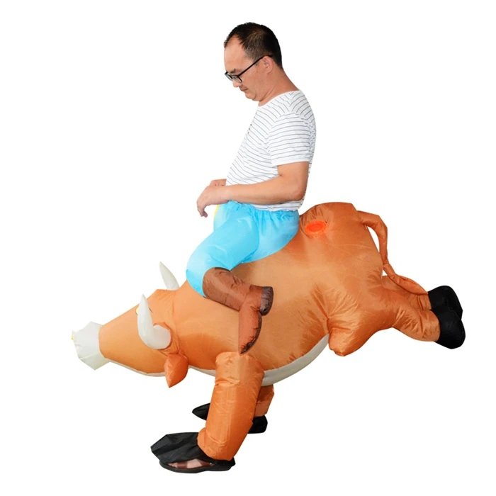 1116