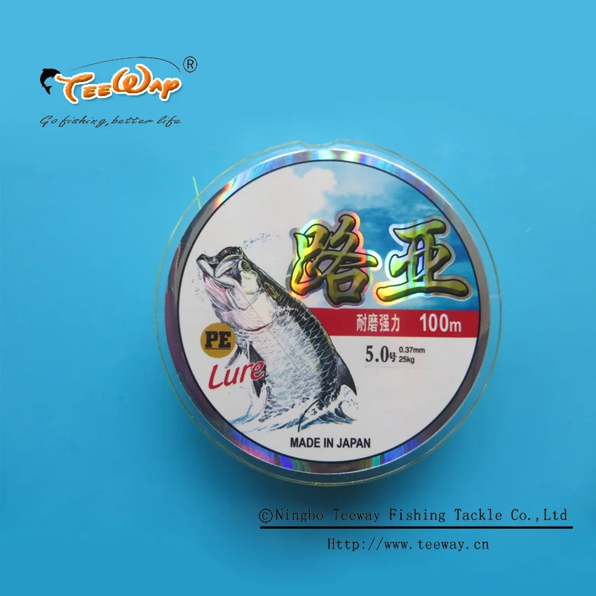 Free Shipping 100M Fishing Lines Super Strong Saltwater PE Fishing Line