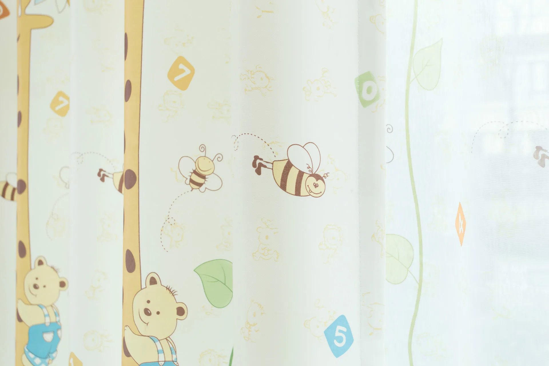 IMG_3962