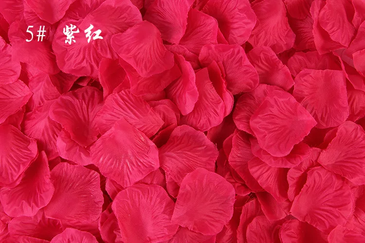 1000 шт/партия 5*5 см шелковые лепестки роз для свадебного украшения, романтические искусственные лепестки роз Свадебные цветы розы - Цвет: 5