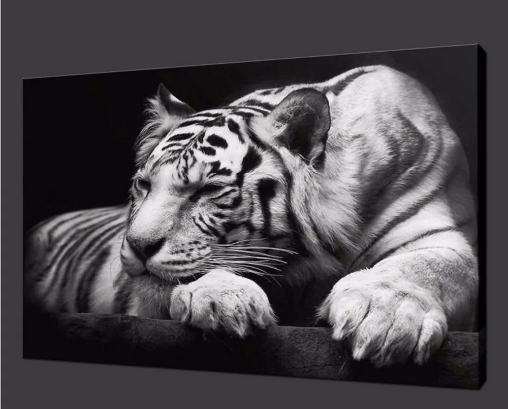 

2017 Limited Modern Rectangle Single Unframed Spray Painting New Fashion Home Decal Animal Tiger Pictures Living Room