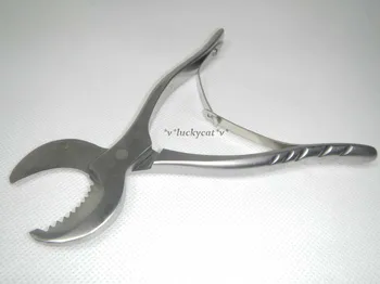 

New 1 Pc 6.3"/16cm Small Size Dental Lab Steel Plaster Shears Scissors