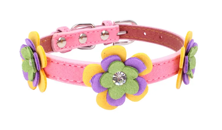 dog collars (2)