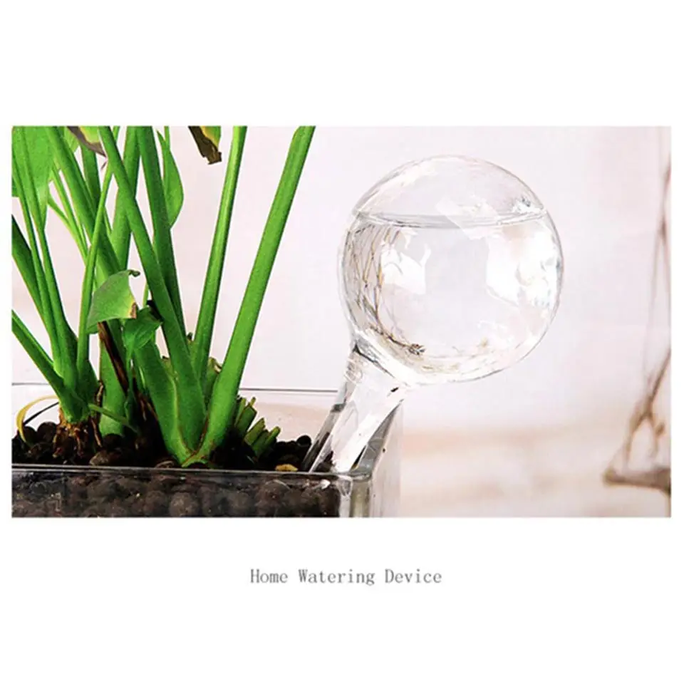 1Pc-100ml-Glass-Self-Automatic-Waterer-Drip-Irrigation-Ball-Lazy-Watering-Device-Bulbs-Globes-Plant-Flowers-Bonsai-for-Garden-7