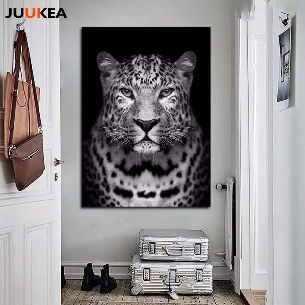 Modern Black and white HD Photography Tigers Leopard Lions Wild Animal