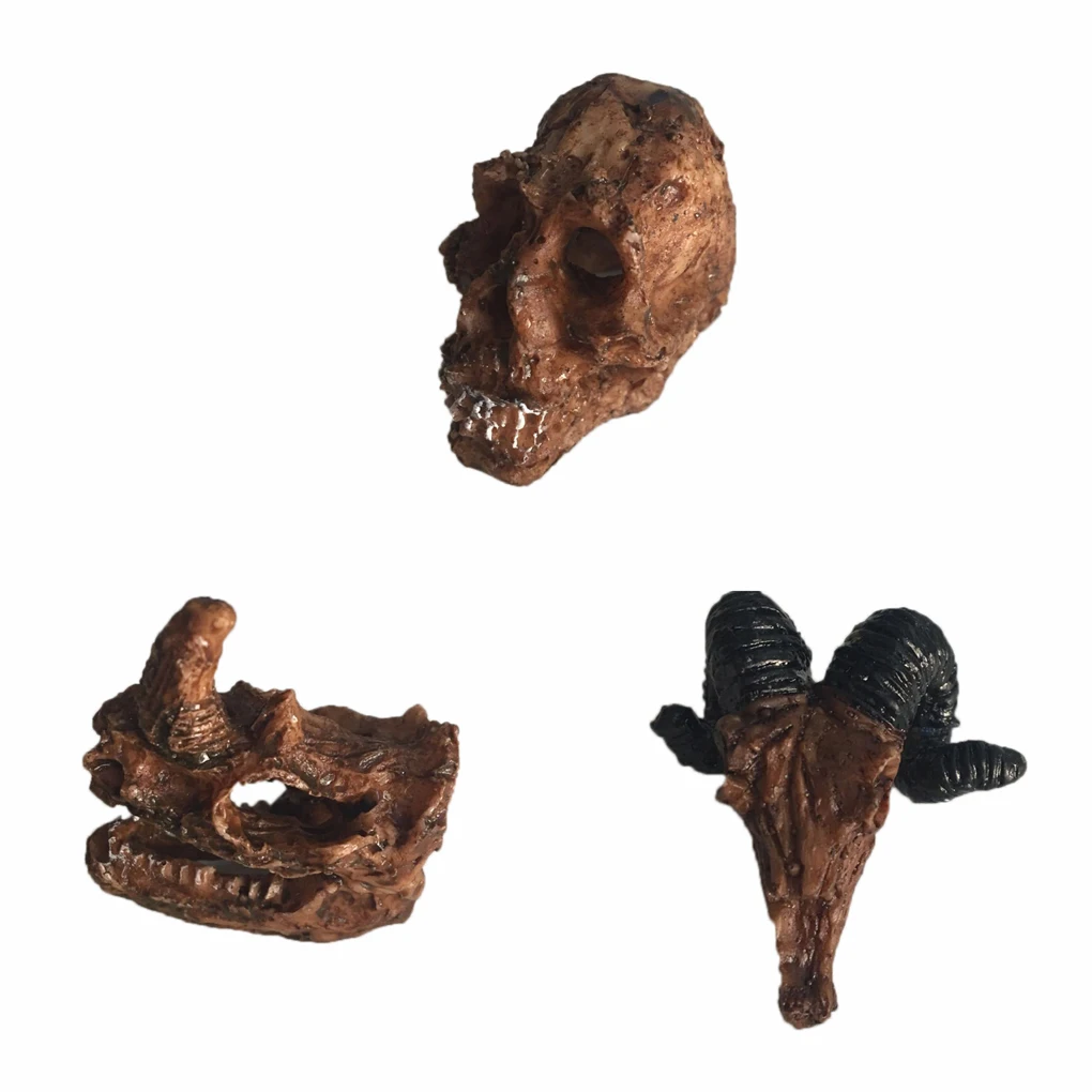 

Halloween Aquarium Decorative Resin Skull Crawler Dragon Lizards Decoration