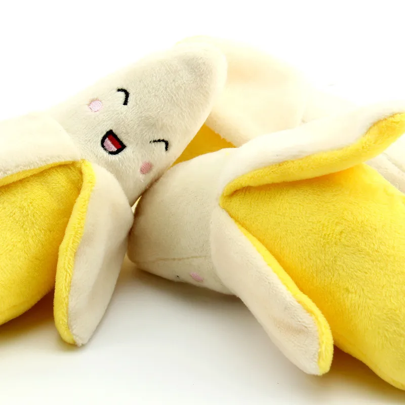 2584262861_258056244