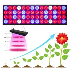 56 светодиодный завода светать Панель комплект растет поле Палатка лампы для внутреннего сад зеленый дом лампы роста растительного семена