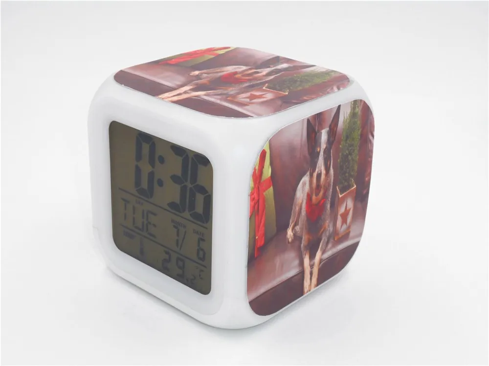 Australian Queensland Heeler Led Alarm Clock 1