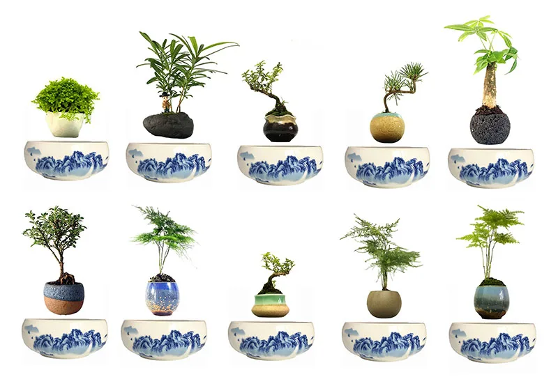 ... levvitate ... magnetic levitation planter - high-quality ceramics - levitating planter rotates and floats ... levvitate ... magnetic levitation planter - high-quality ceramics - levitating planter rotates and floats