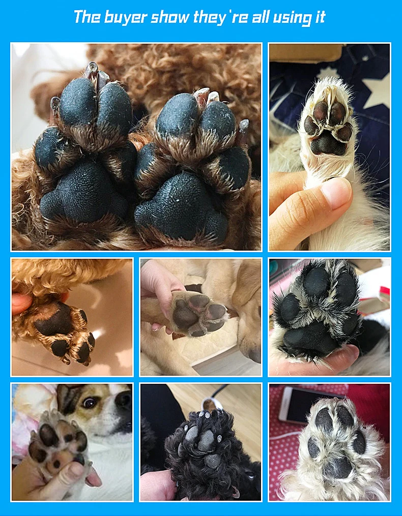 O1CN0124Nd1i2H42bAFnM_!!704407379