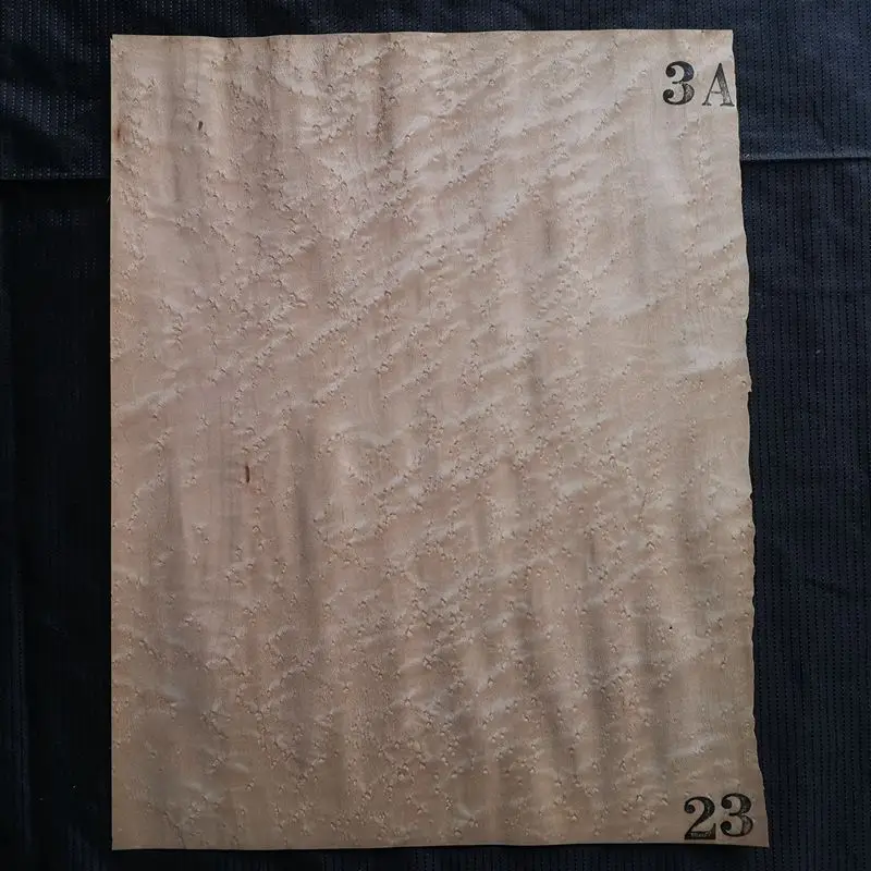 23