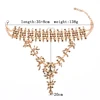 PPG&PGG 2022 New Fashion Luxury Crystal Chokers Pendant Maxi Statement Necklace Women Wedding Charm Hot Sexy Collier Cute ► Photo 2/6