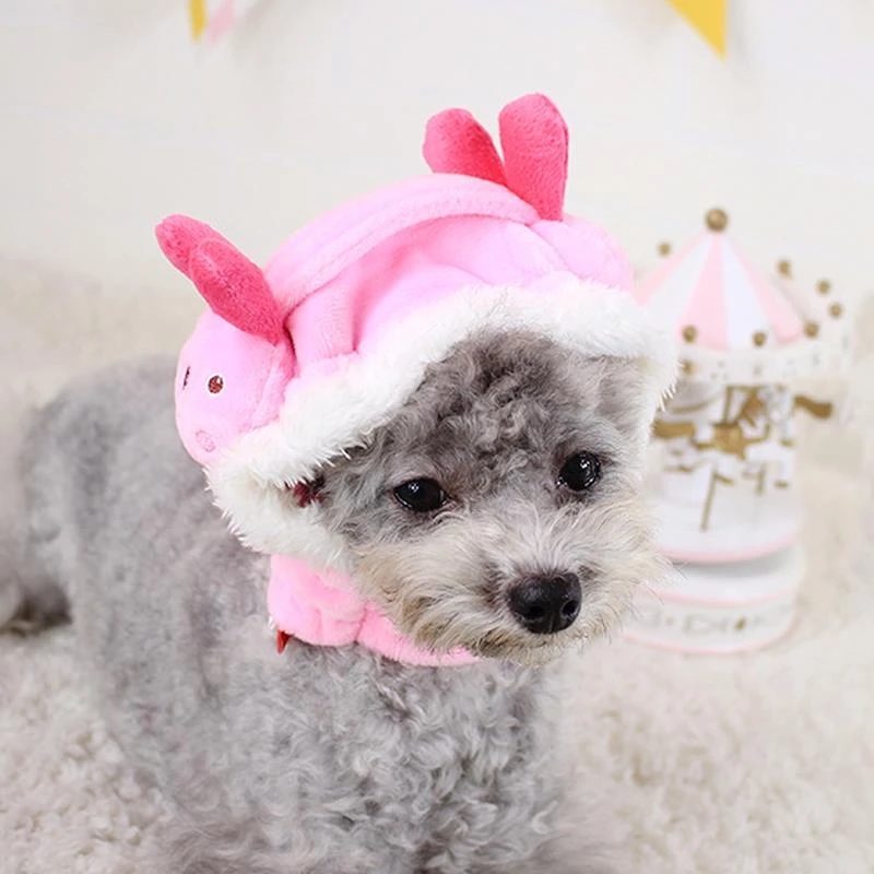 dog winter hats